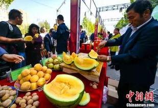 惠州今日吃瓜事件最新进展,真相揭晓，疑云散去